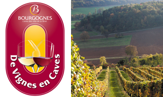 De Vigne en Cave