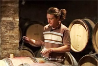 Vin1