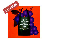 Vin1